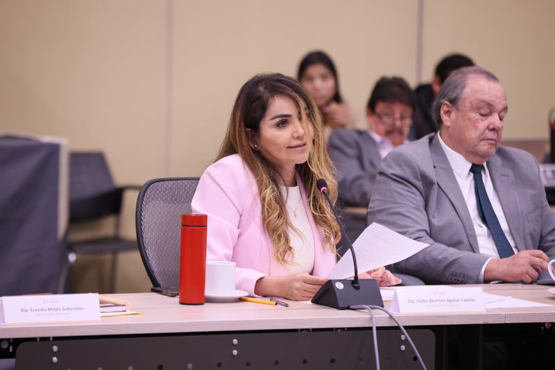 https://congreso-gto.s3.amazonaws.com/uploads/imagen/imagen/115834/pop_WhatsApp Image 2026-09-03 at 12.35.23.jpeg